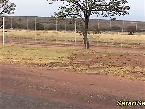 steaming fucky-fucky at my african safari tour